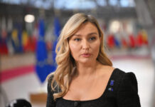 Swedish deputy PM: European leaders must ‘toughen up,’ stop waiting for Brussels, US