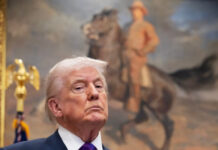 Trump reportedly considers senior US Treasury official for German ambassador