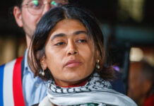 MEP Rima Hassan placed in French police custody over suspicion of apology for terrorism