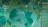 Cleantech: 10 companies that raised the most in 2025
