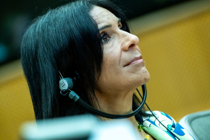 Czech MEP’s undeclared think-tank role raises conflict-of-interest questions