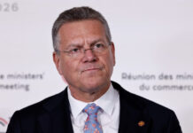 EU trade chief calls for new tool to diversify supply away from China