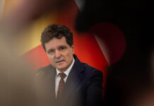 Romania’s Nicușor Dan faces his biggest test as political crisis deepens