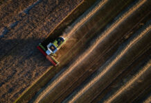 How Russian attacks, European protectionism and drought are trapping Ukraine’s vital grain