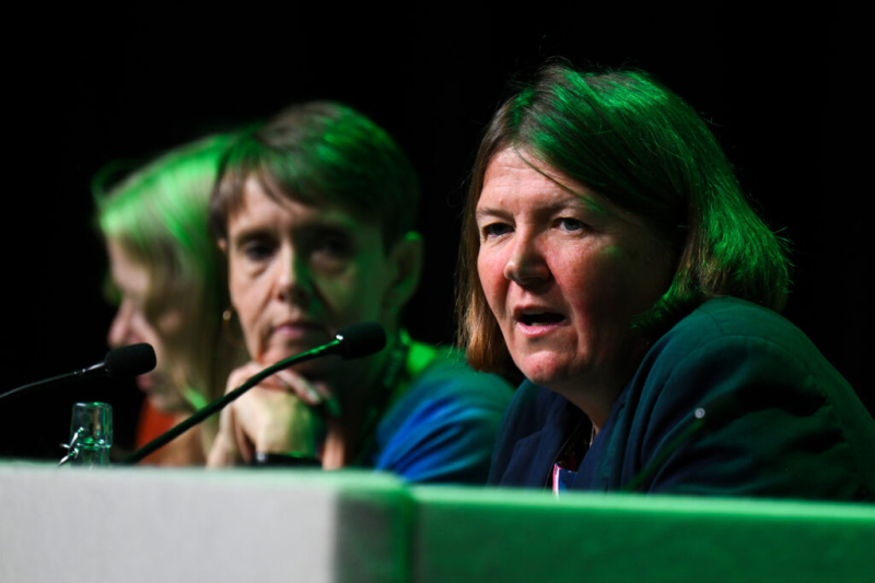 Polanski gaffes turbocharge the Greens’ moderates vs. radicals fight